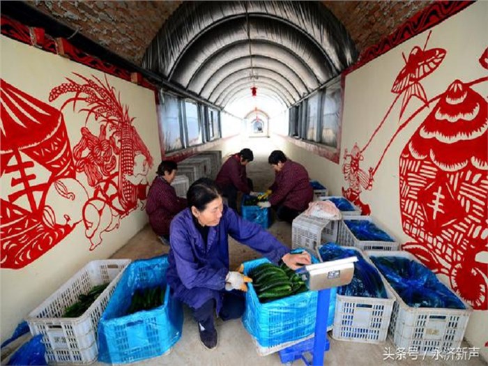 杨团：此集体非彼集体——为社区性、综合性乡村合作组织探路