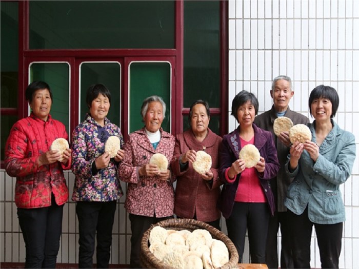 吕新雨：没有社会建设，经济扶贫独木难支——塘约、蒲韩和郝堂的启示